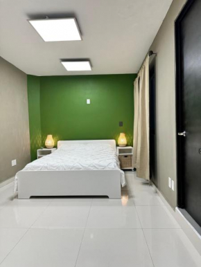 Coliving Condesa Junior Suite 3 Nogal